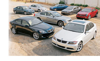the 8 competitors